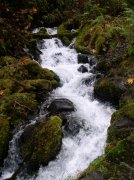 10.28.05 Devil's Rest 033 